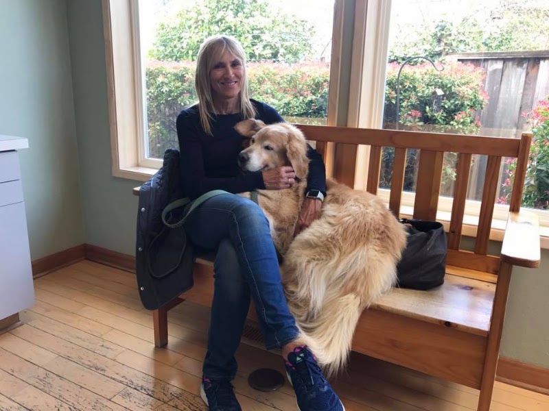 Animal Dermatology Clinic Portland