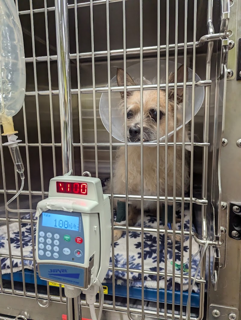 Vetco Total Care