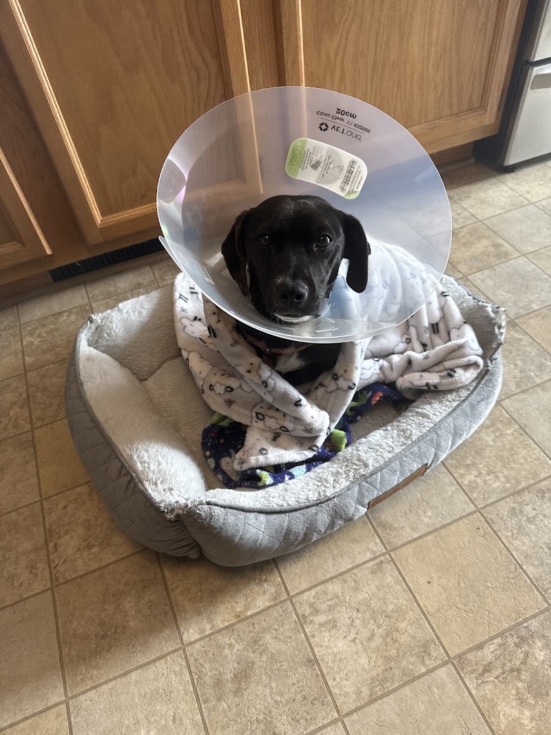 BluePearl Pet Hospital