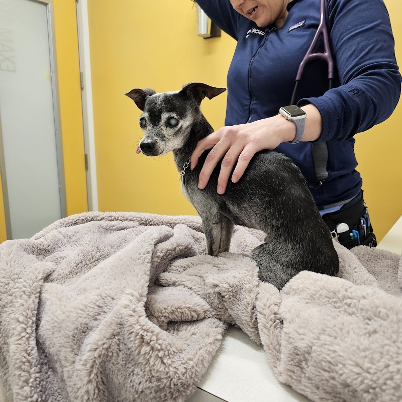 West Coast Animal Hospital
