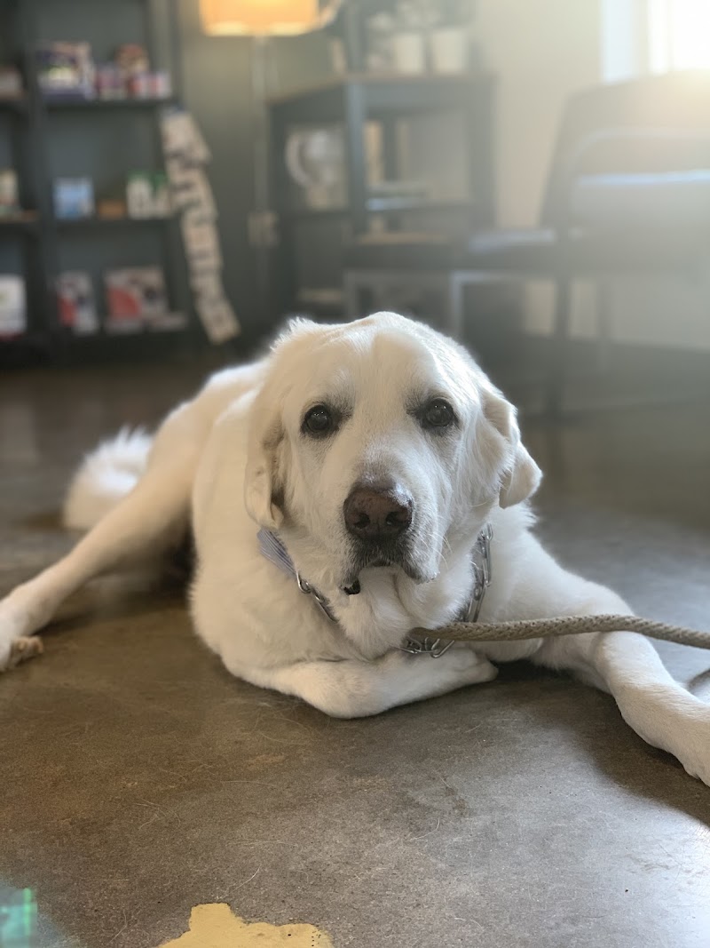 West Coast Animal Hospital