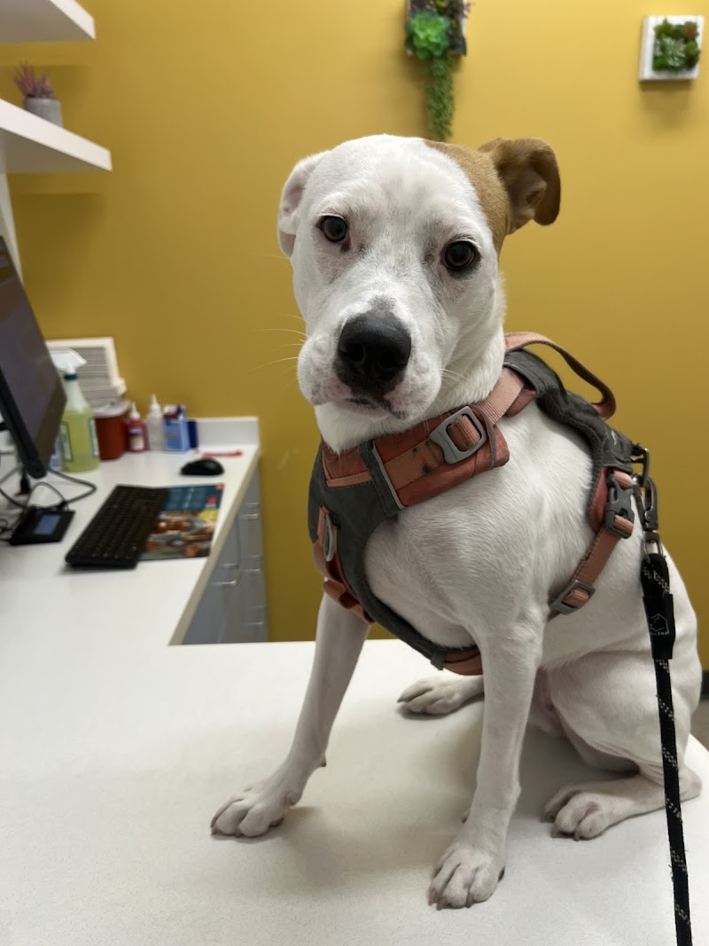 West Coast Animal Hospital