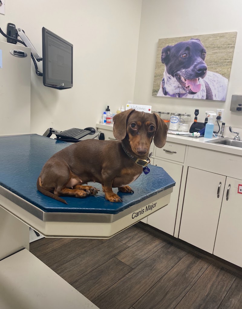 Media City Animal Hospital