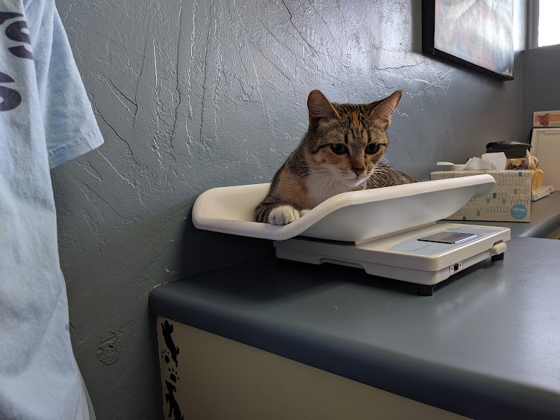 Central Phoenix Animal Hospital