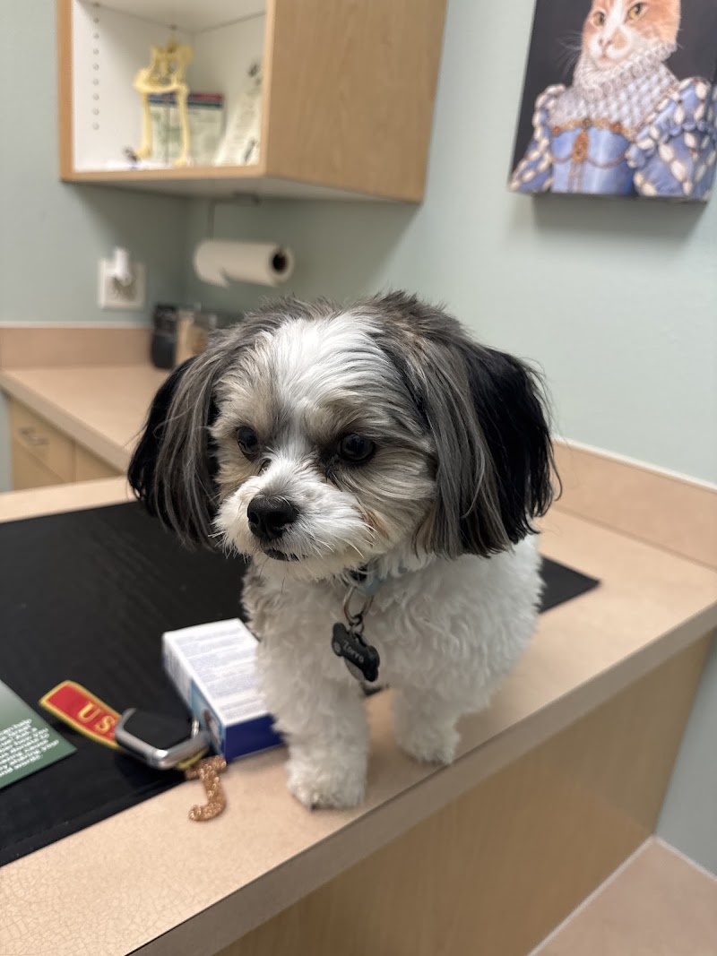 Ohio Drive Animal Hospital