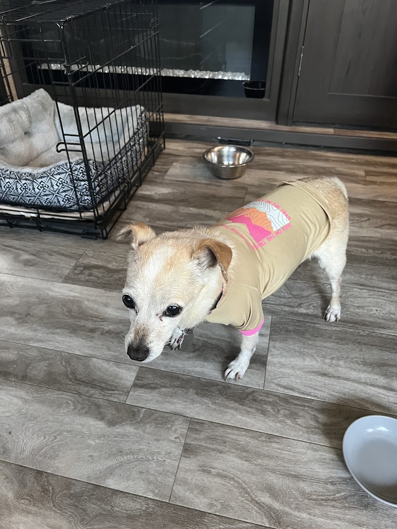 Ohio Drive Animal Hospital
