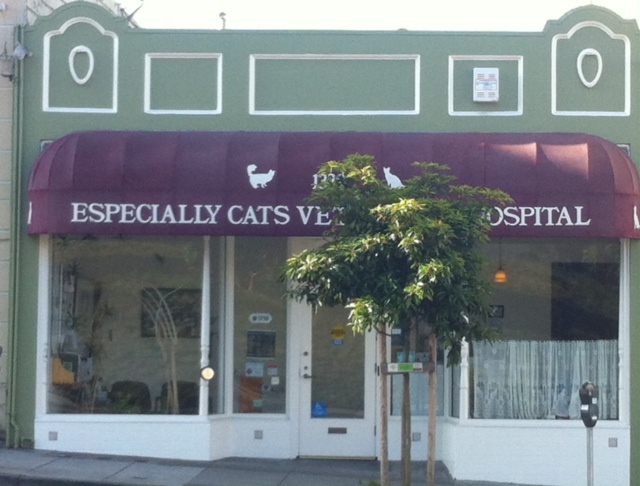 Small Paws Pet Hospital