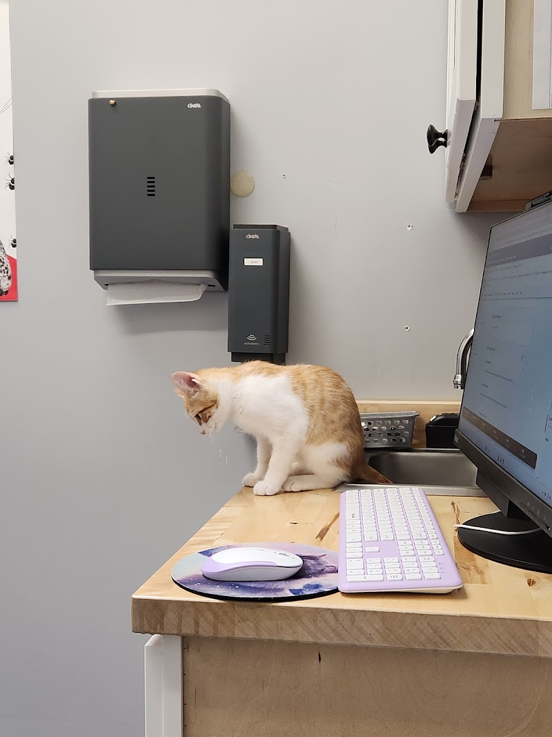 Small Paws Pet Hospital