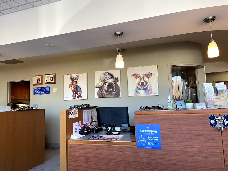 Animal Emergency & Referral Associates