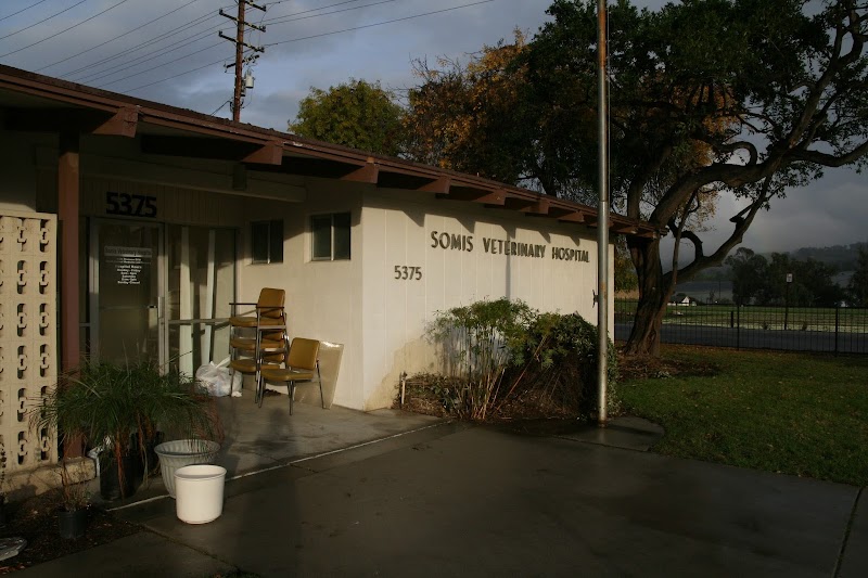 Somis Veterinary Hospital