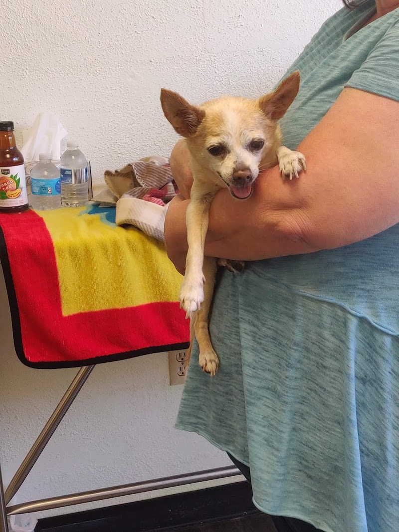 Somis Veterinary Hospital