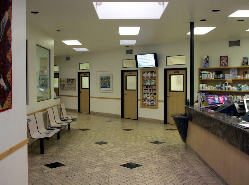 All Pets Veterinary Hospital