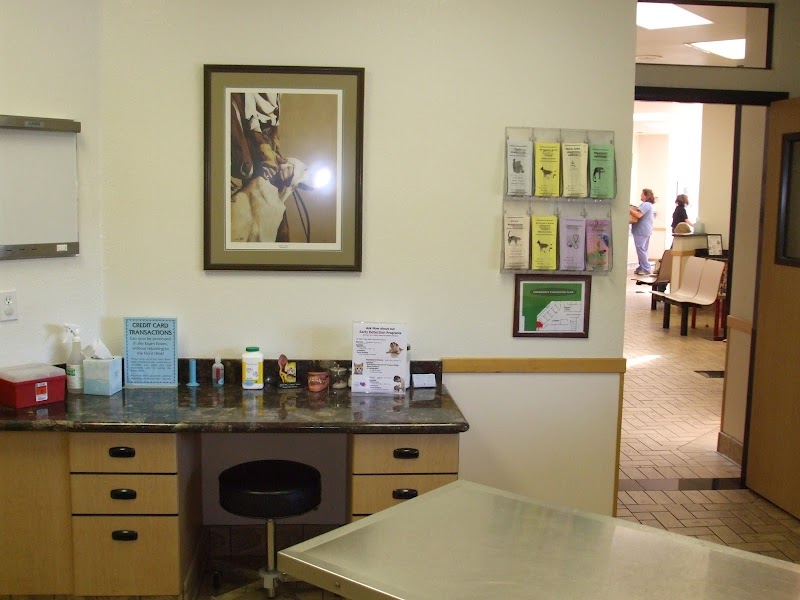 All Pets Veterinary Hospital