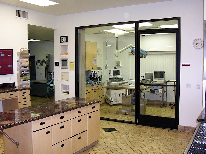 All Pets Veterinary Hospital