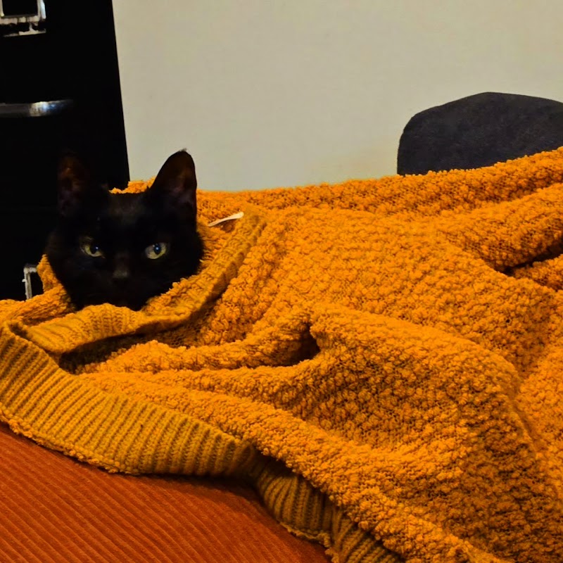VCA Veterinary Referral and Emergency Center