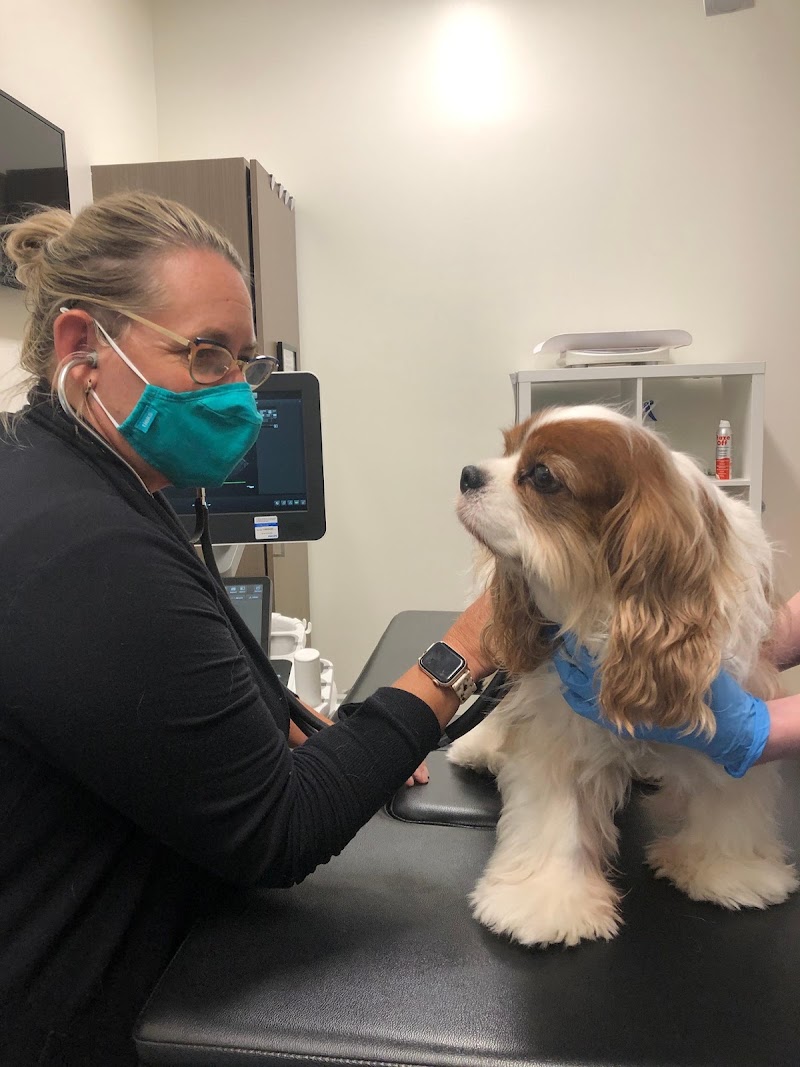CVCA Cardiac Care for Pets