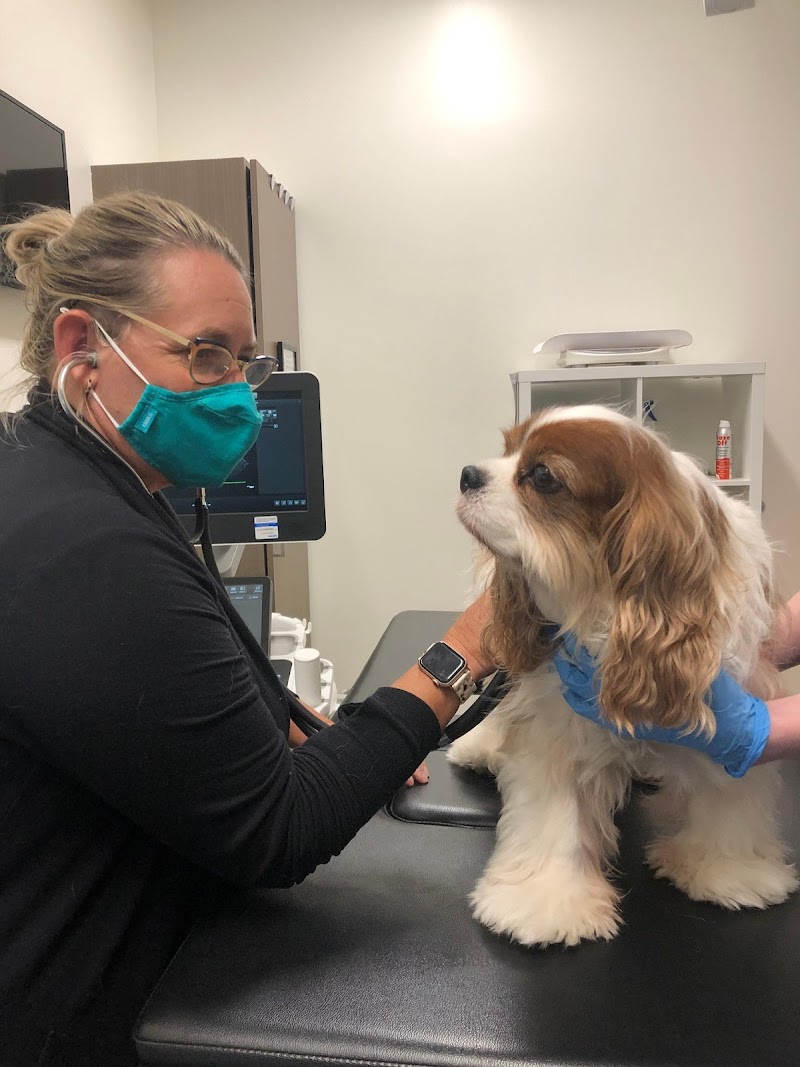 CVCA Cardiac Care for Pets