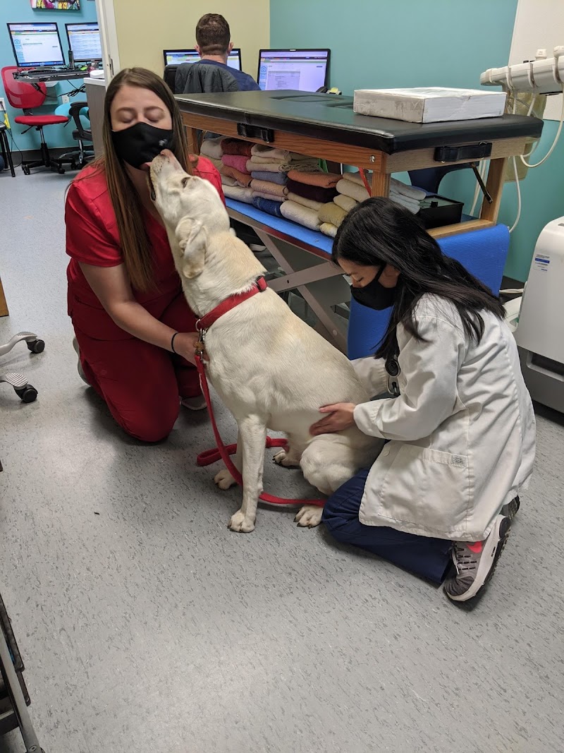 CVCA Cardiac Care for Pets