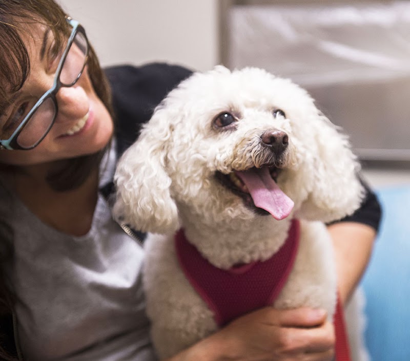 CVCA Cardiac Care for Pets