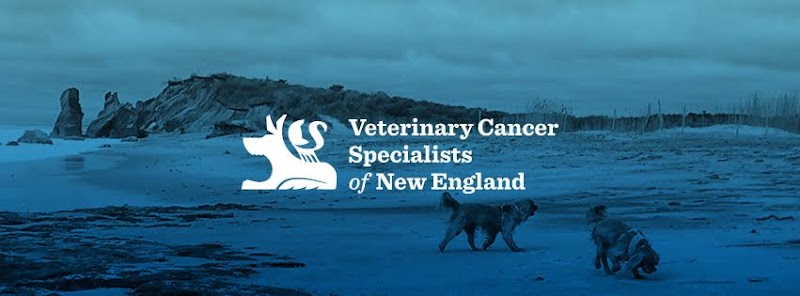 Veterinary Cancer Specialists of New England - Bourne
