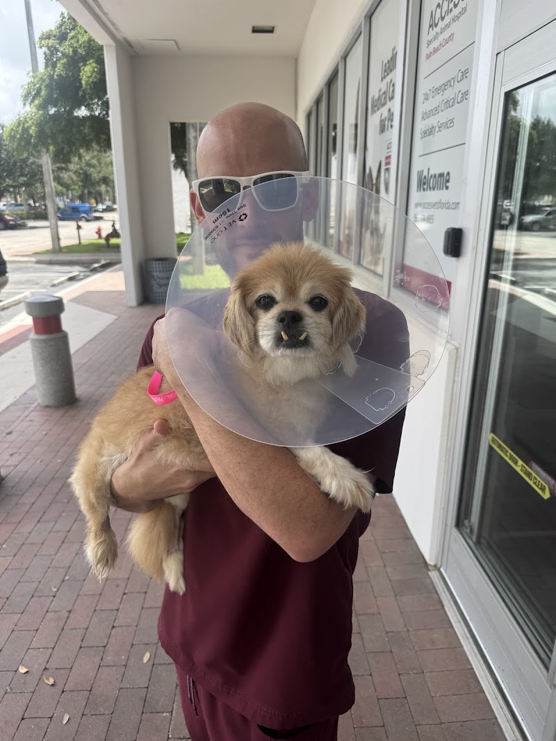 Sawgrass Veterinary Cardiology