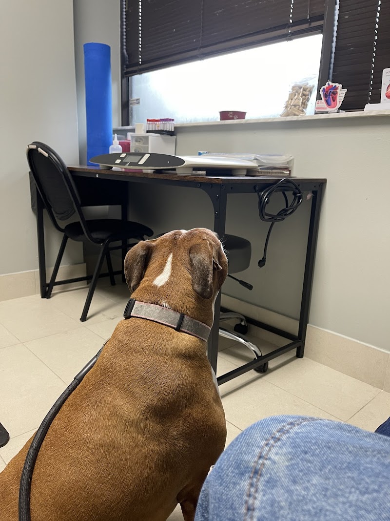 Sawgrass Veterinary Cardiology