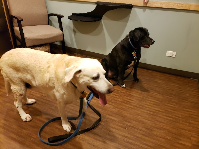 Wright Animal Hospital