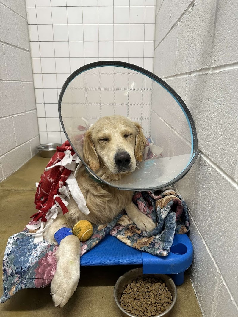 Harmony Road Veterinary Clinic