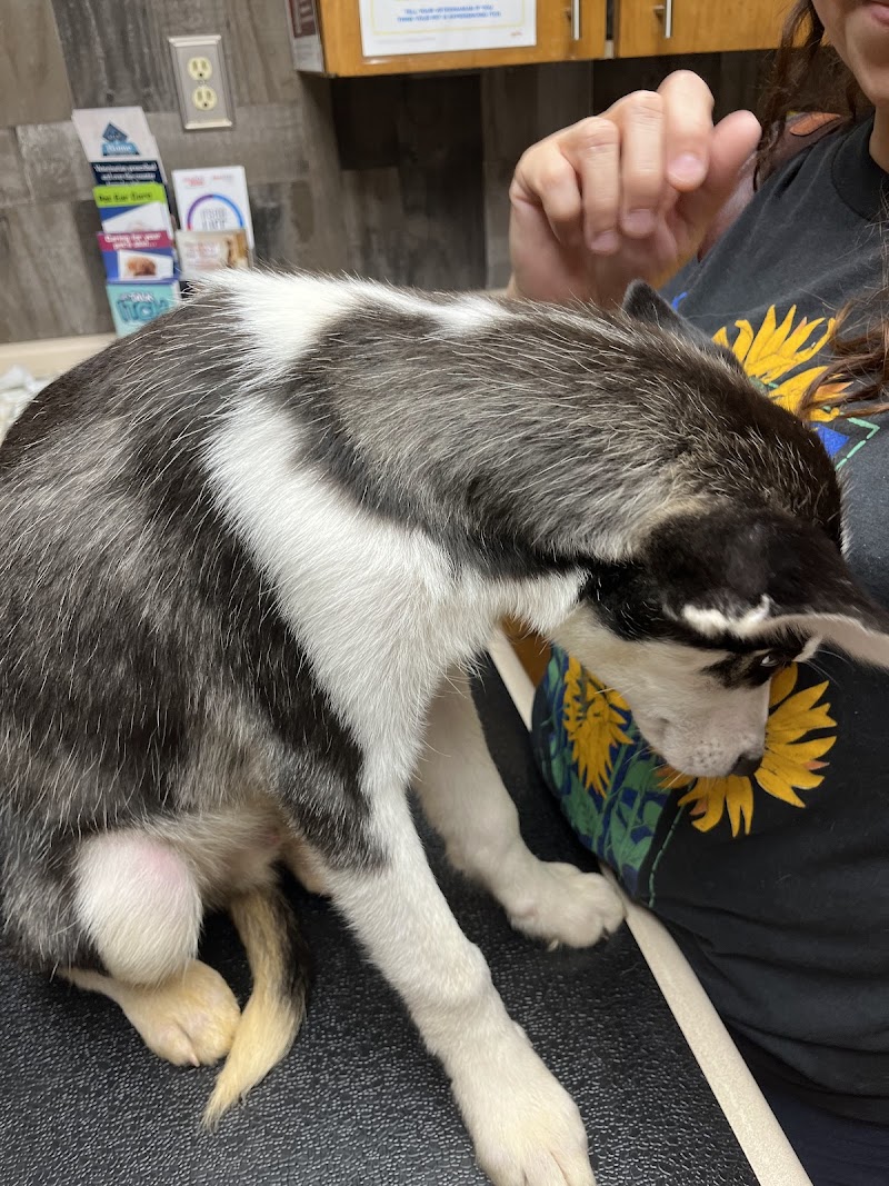 Leon Valley Veterinary Hospital