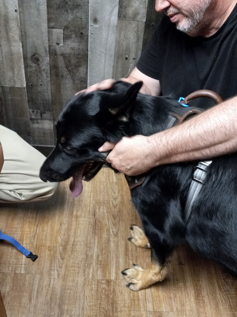 Leon Valley Veterinary Hospital