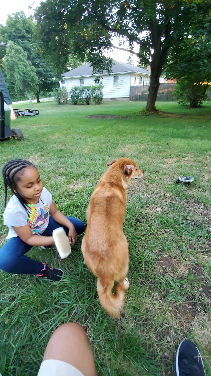 Upstate Veterinary Surgical Center