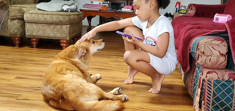 Upstate Veterinary Surgical Center