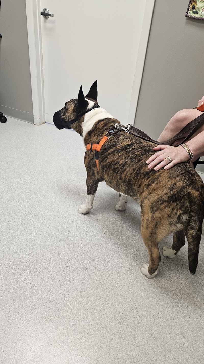 Upstate Veterinary Surgical Center