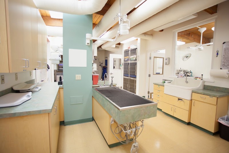 Hillsdale Veterinary Hospital