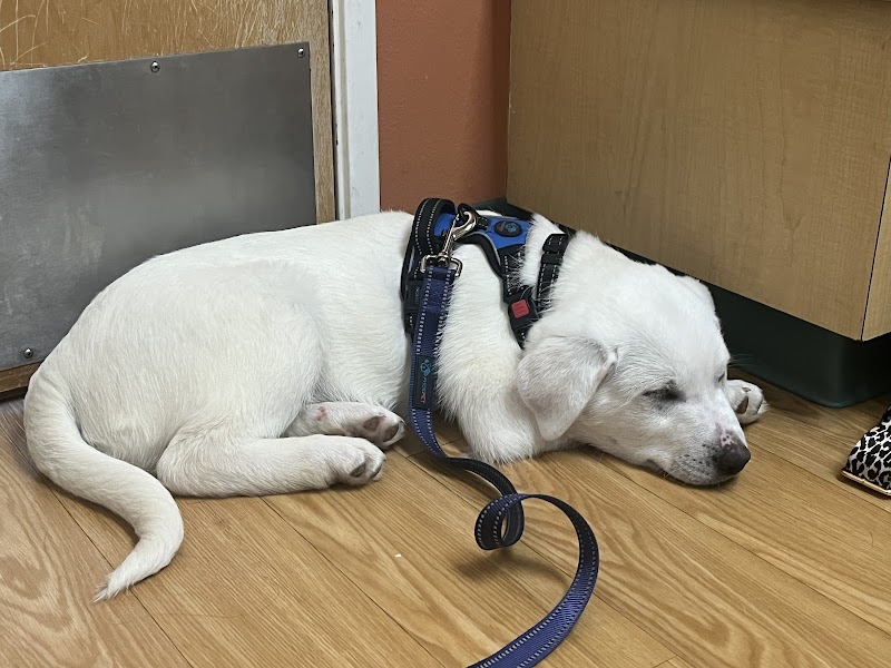 Hillsdale Veterinary Hospital