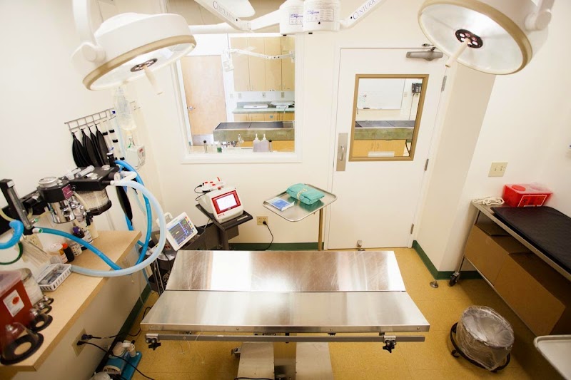 Hillsdale Veterinary Hospital