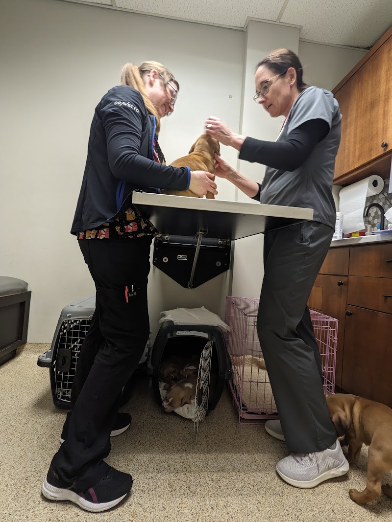 veterinary hospitals lino lakes, mn - minnesota veterinary hospital