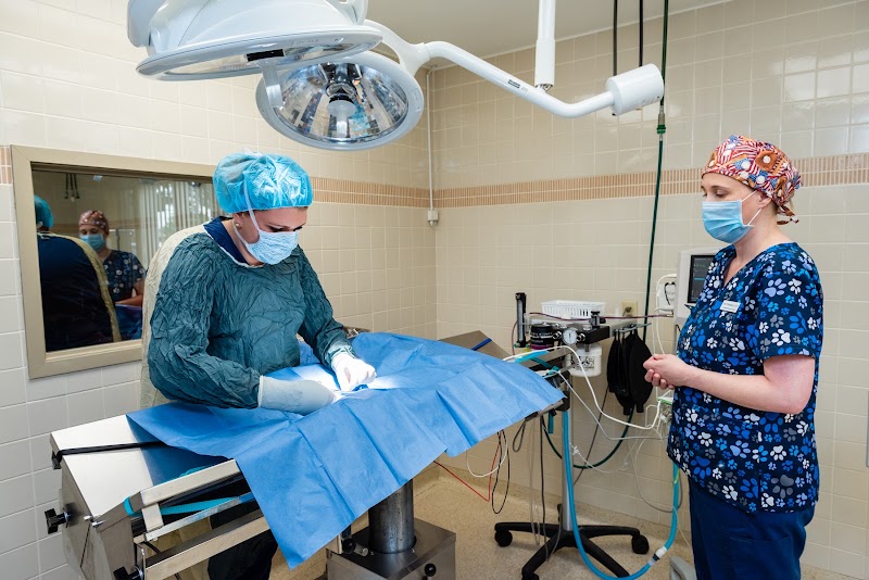 Minnesota Veterinary Hospital