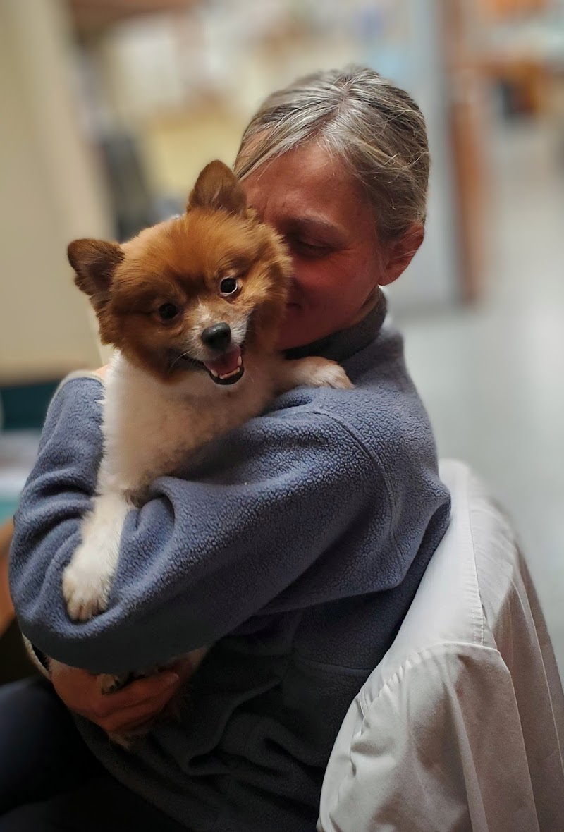 Boston Veterinary Specialists