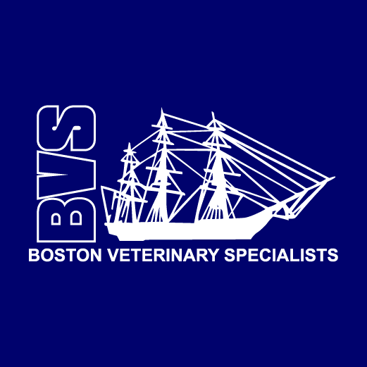 Boston Veterinary Specialists