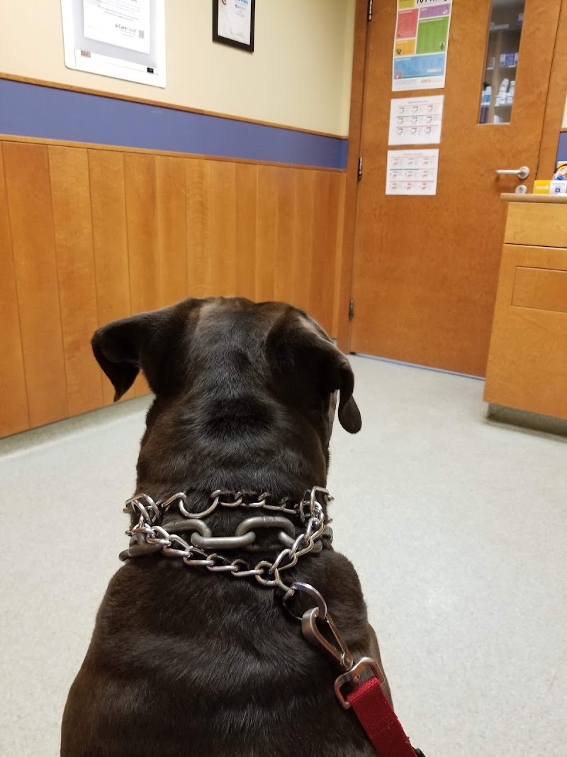 Dedham Veterinary Associates
