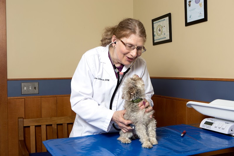 Dedham Veterinary Associates