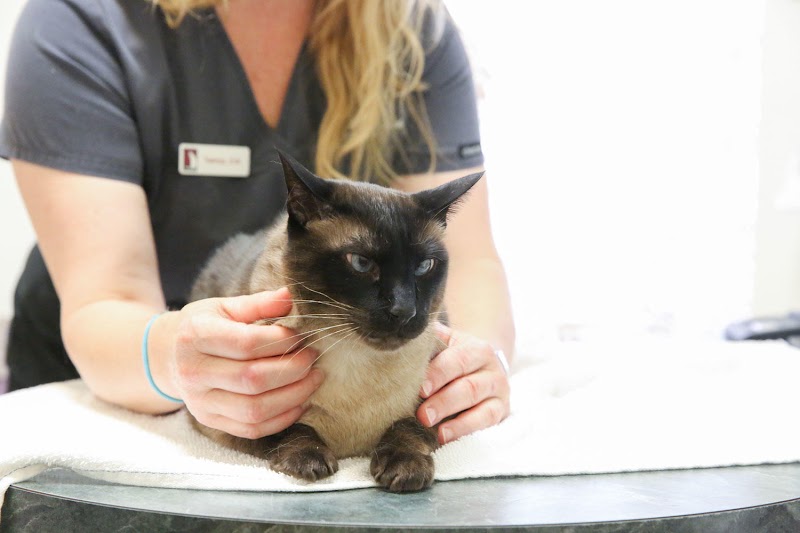 Cat & Dog Hospital of Portland