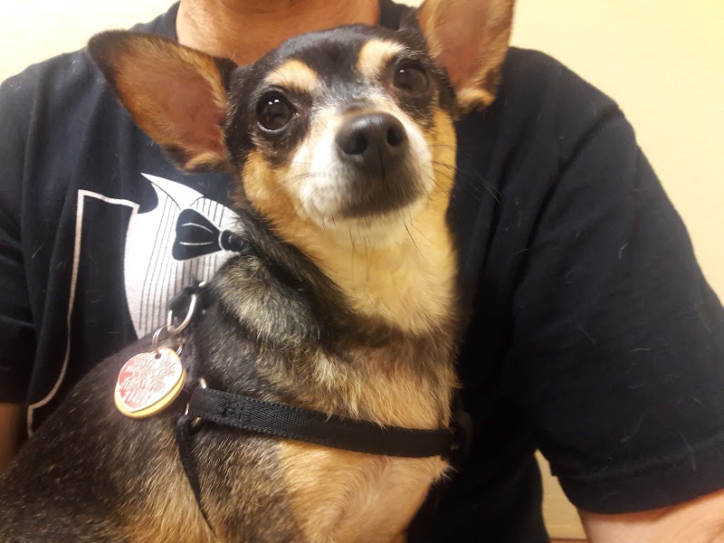 Dodd Animal Hospital