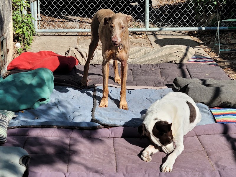 Dodd Animal Hospital