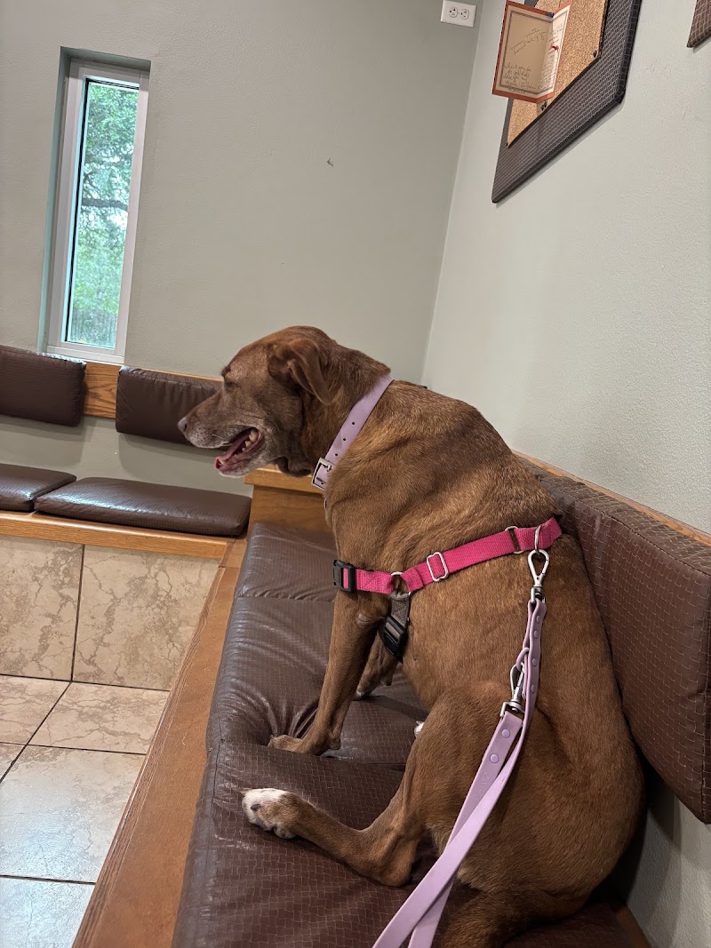 Dodd Animal Hospital
