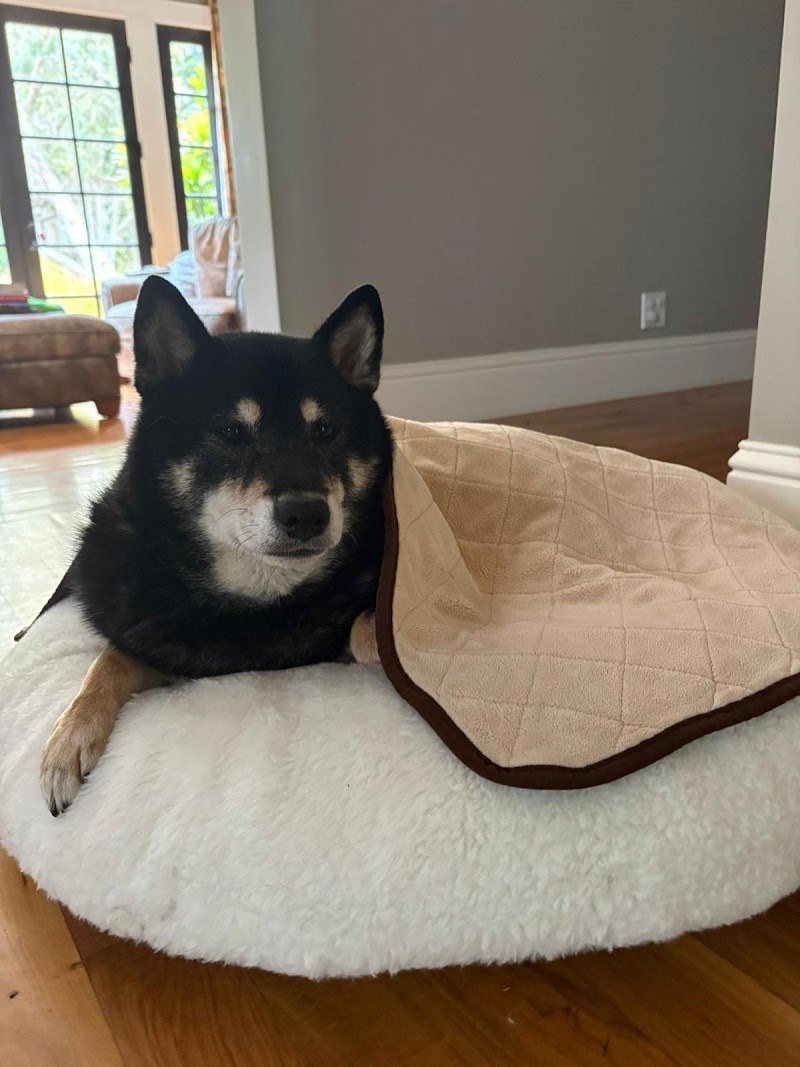 TotalCare Veterinary & Surgical Center