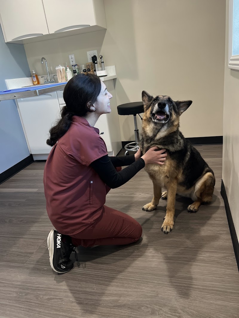 TotalCare Veterinary & Surgical Center