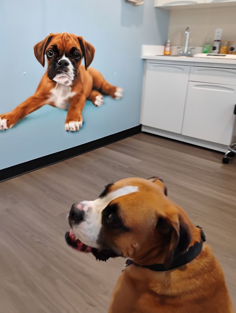 TotalCare Veterinary & Surgical Center