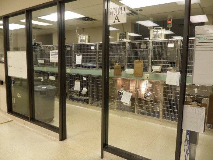 VCA Metroplex Animal Hospital & Pet Lodge